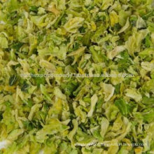 Exporter of Freeze Dried Cabbage